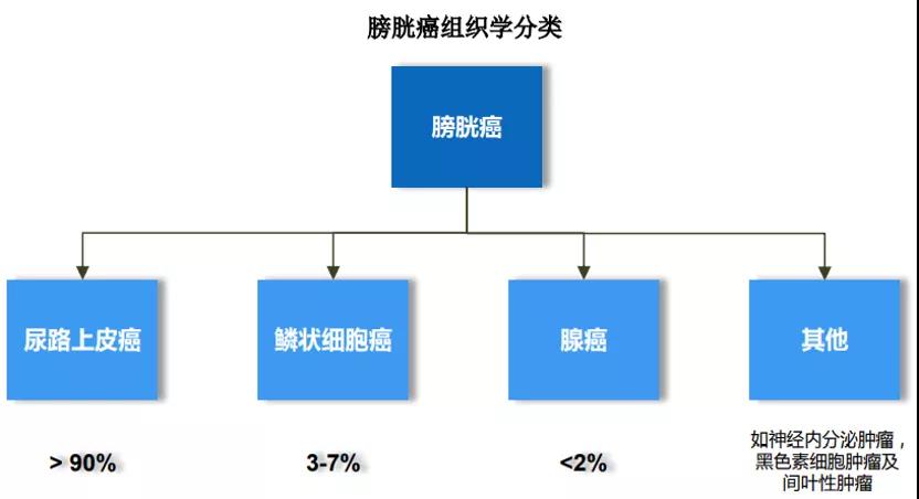 微信圖片_20211220144051.jpg